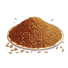 Roasted Jeera